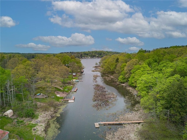 7682 Cottage Rd Unit 2, Wolcott, NY 14590 - bird's eye view with a water view and a wooded view