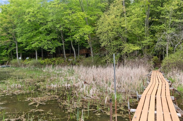 7682 Cottage Rd Unit 2, Wolcott, NY 14590 - view of local wilderness