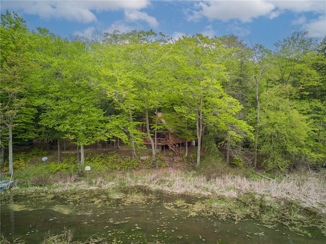 view of nature featuring a water view