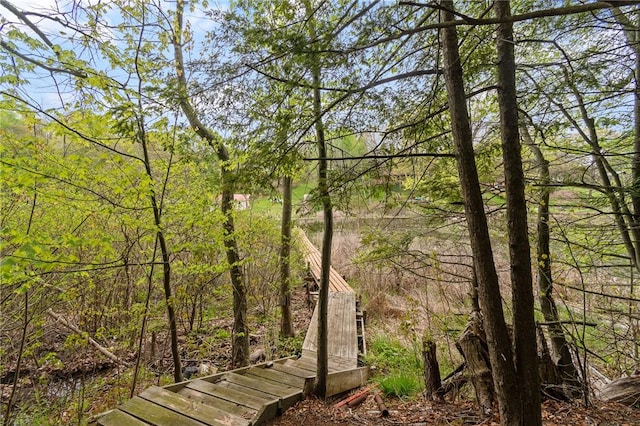 7682 Cottage Rd Unit 2, Wolcott, NY 14590 - exterior space featuring a view of trees