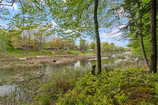 view of water feature