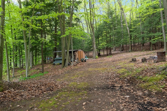 view of yard with a storage unit