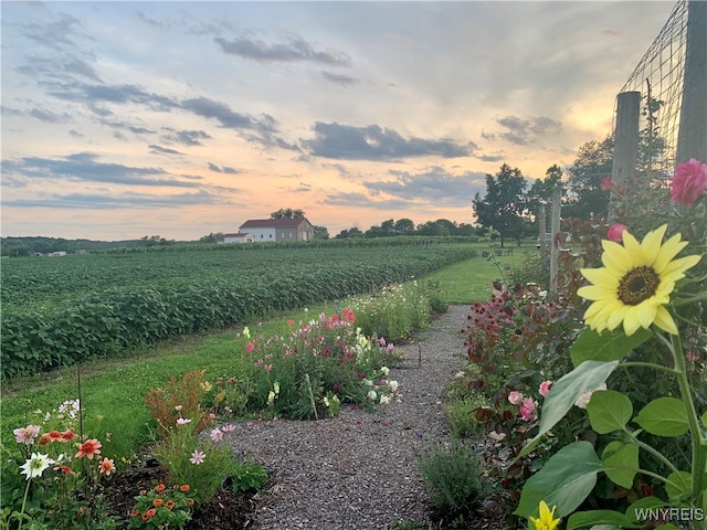 yard at dusk featuring a rural view