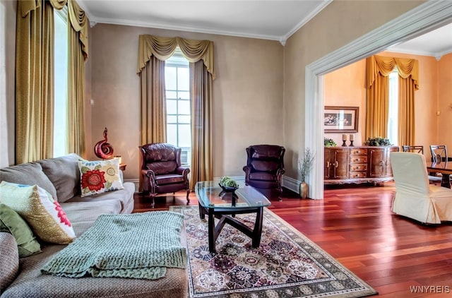 living room featuring hardwood / wood-style floors and crown molding