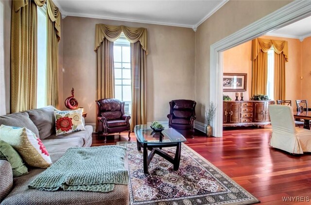 5138 Lower Mountain Rd, Cambria, NY 14094 - living area featuring wood finished floors, crown molding, and baseboard heating