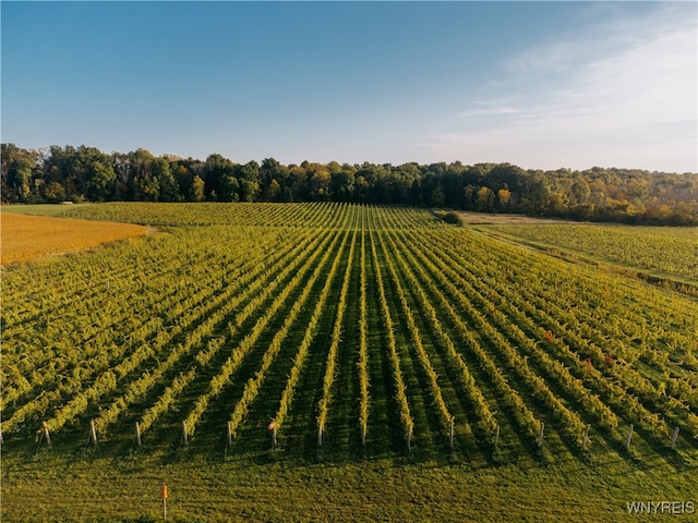 view of yard with a rural view