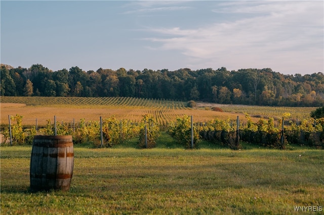 view of yard with a rural view