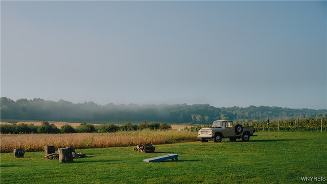 view of home's community featuring a lawn and a rural view