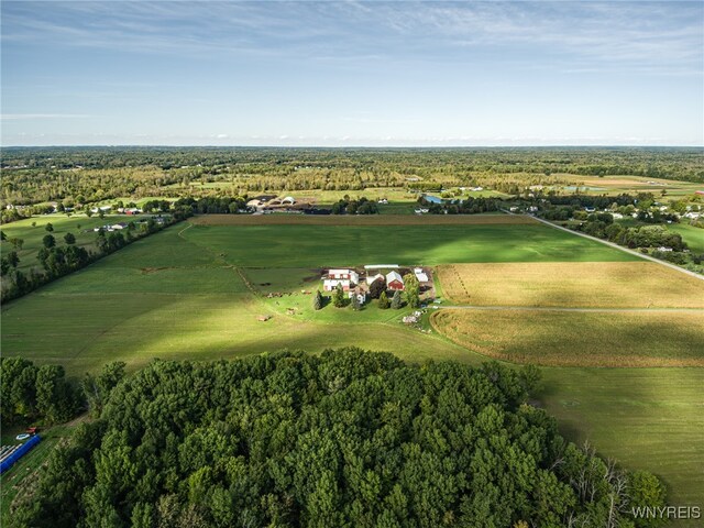 6990 Heise Rd, Clarence, NY 14032 - photo 32