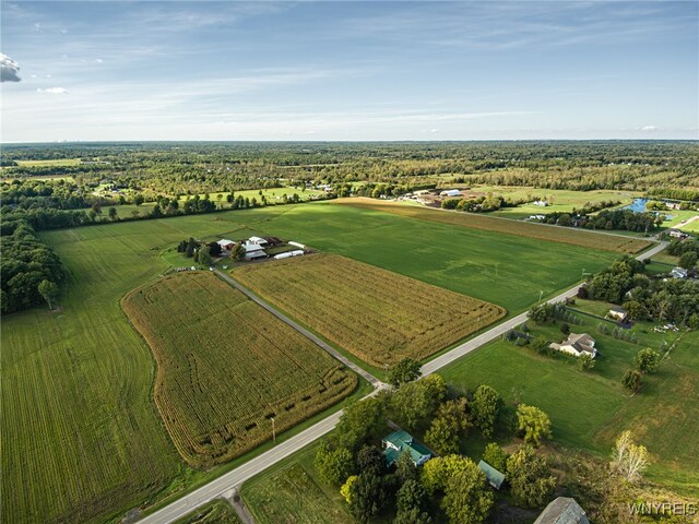 6990 Heise Rd, Clarence, NY 14032 - photo 4