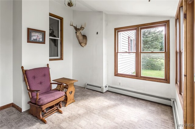 6990 Heise Rd, Clarence, NY 14032 - photo 15