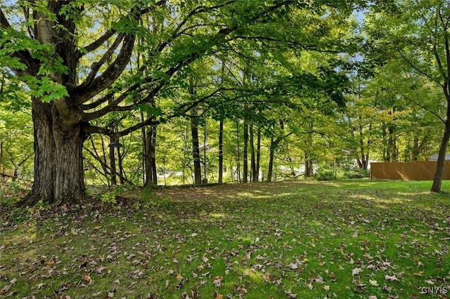 view of local wilderness