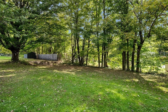 view of yard with a storage unit