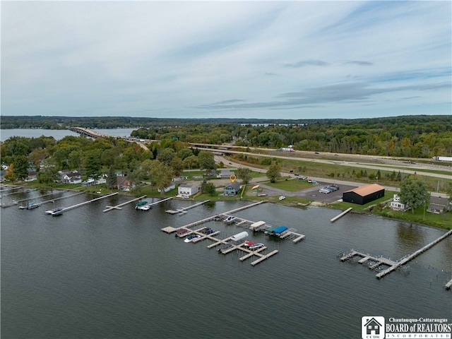 bird's eye view with a water view