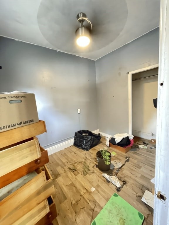 interior space with a closet and hardwood / wood-style flooring