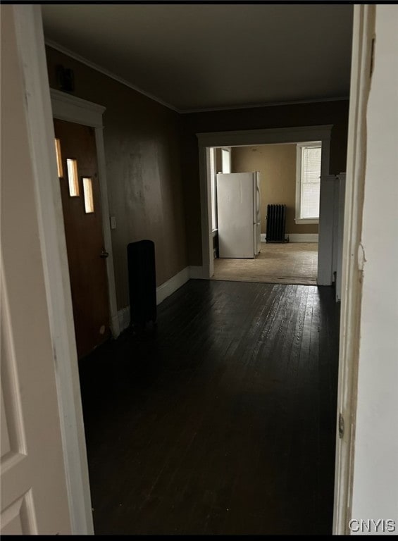 hall with crown molding, radiator, and dark hardwood / wood-style flooring