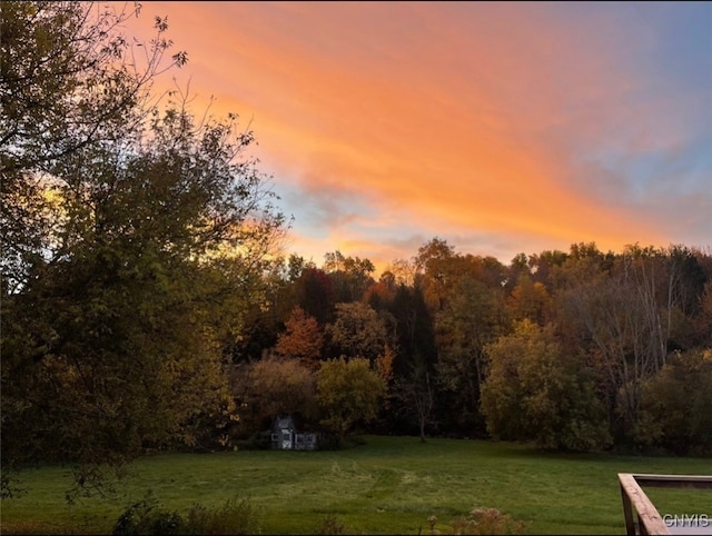 view of yard at dusk