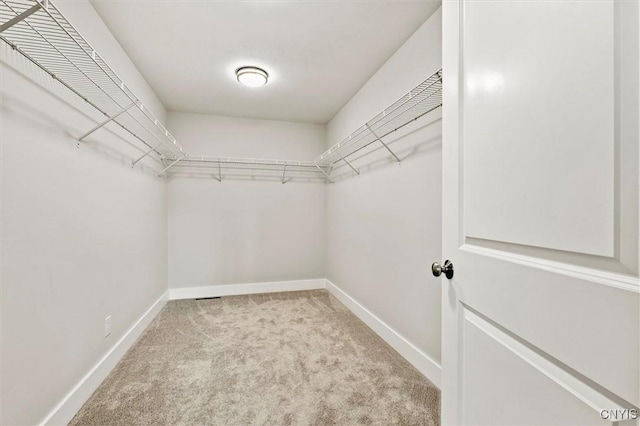 spacious closet with light carpet