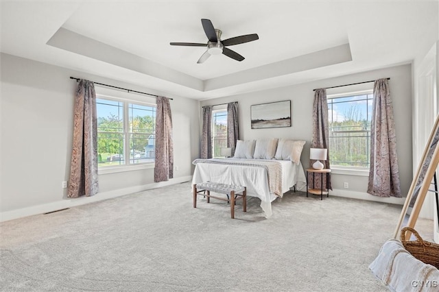 bedroom featuring a raised ceiling and multiple windows