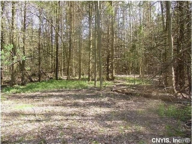 0 Nelson Rd, Lenox NY, 13032 land for sale