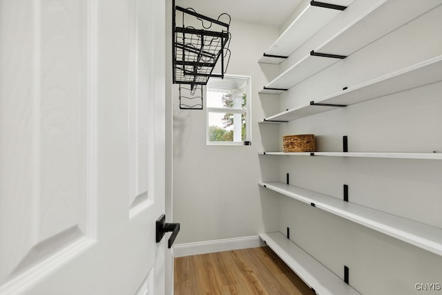 spacious closet with hardwood / wood-style flooring