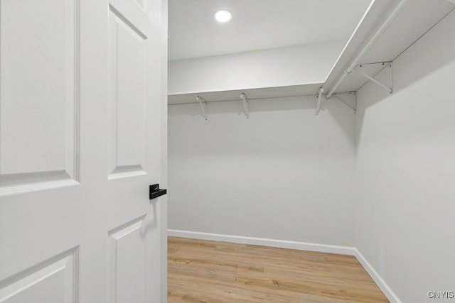 spacious closet with wood-type flooring