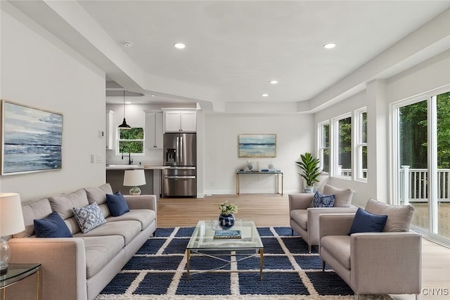 living room with hardwood / wood-style floors and sink