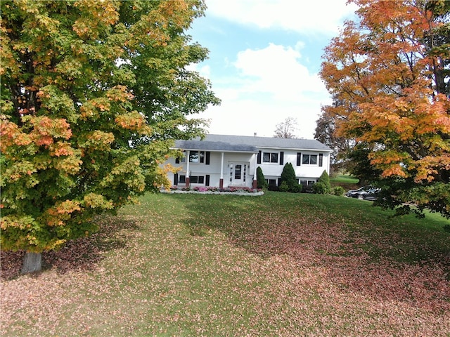 raised ranch with a front yard