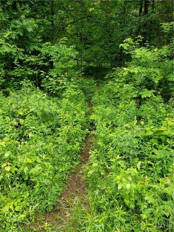 000 Mattis Rd, New Bremen, NY 13367