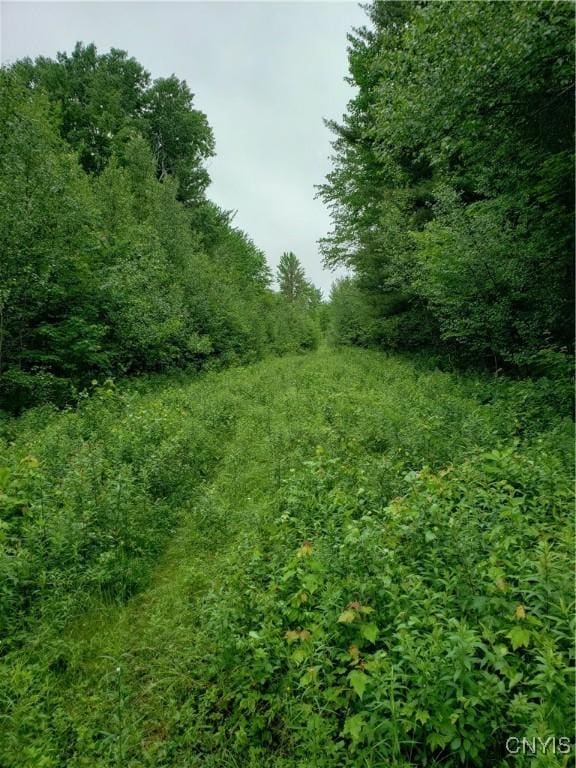 000 Mattis Rd, New Bremen, NY 13367