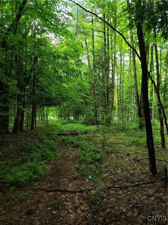 000 Mattis Rd, New Bremen, NY 13367
