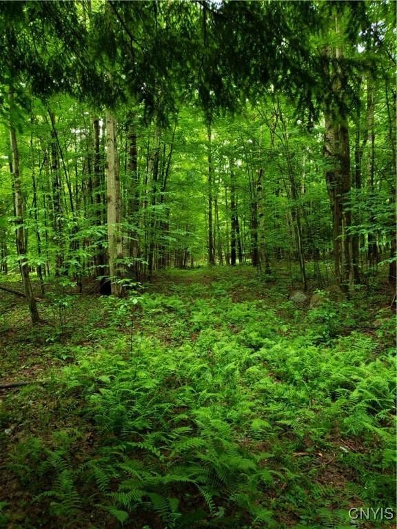 000 Mattis Rd, New Bremen, NY 13367
