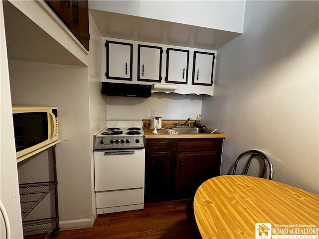 3682 Rte 430, Ellery, NY 14712 - kitchen featuring light countertops, white appliances, exhaust hood, dark wood-type flooring, and a sink