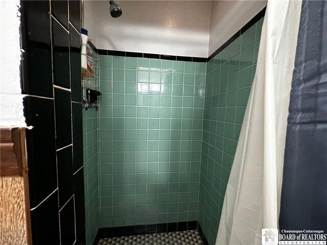 3682 Rte 430, Ellery, NY 14712 - full bath featuring a tile shower