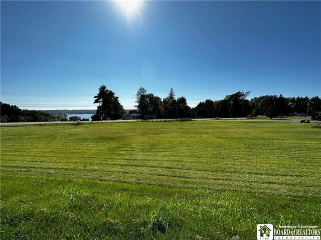 3682 Rte 430, Ellery, NY 14712 - view of yard