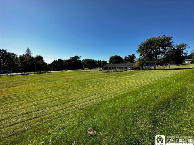 3682 Rte 430, Ellery, NY 14712 - view of yard