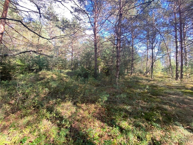 LOT3 State Route 28, Forestport NY, 13438 land for sale