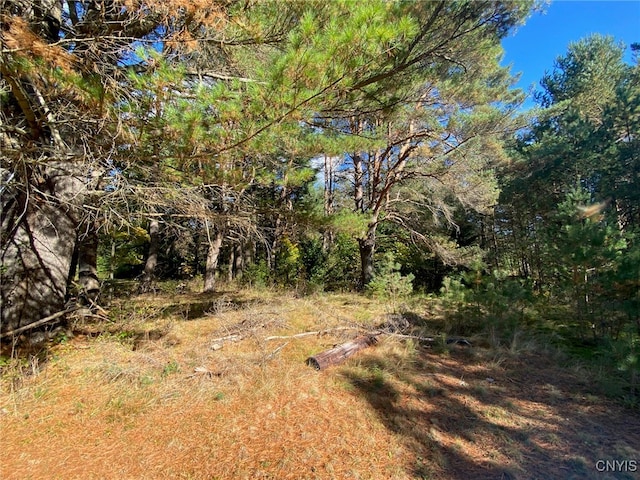 Listing photo 3 for LOT3 State Route 28, Forestport NY 13438