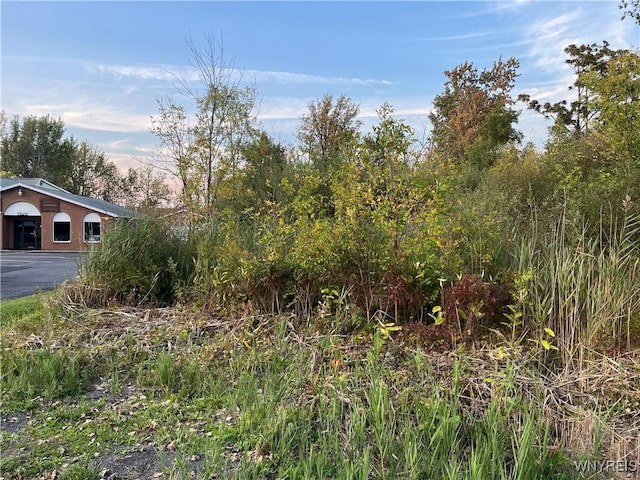 V/L Porter Rd, Niagara, NY 14304 - photo 1