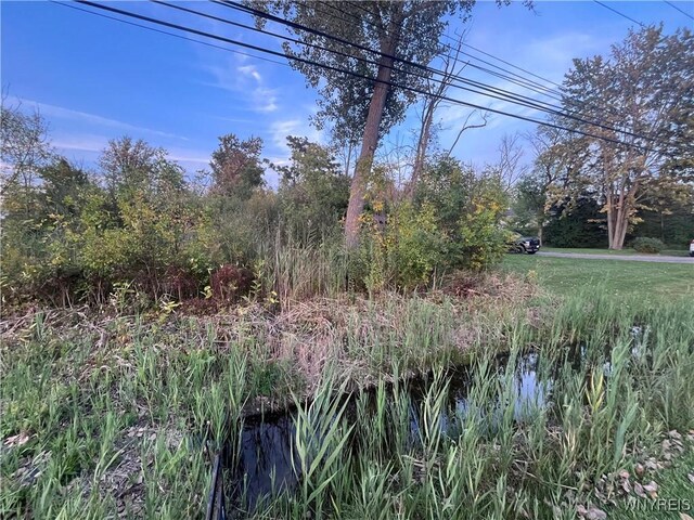V/L Porter Rd, Niagara, NY 14304 - photo 3