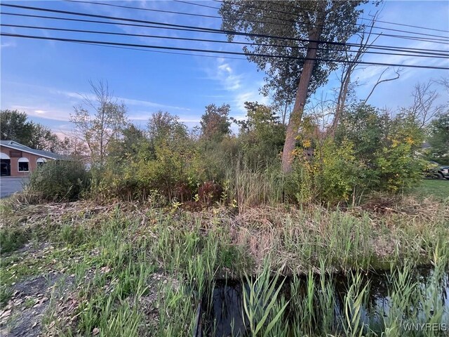 V/L Porter Rd, Niagara, NY 14304 - photo 4