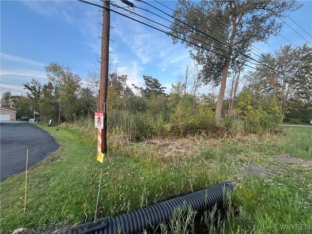V/L Porter Rd, Niagara, NY 14304 - photo 5