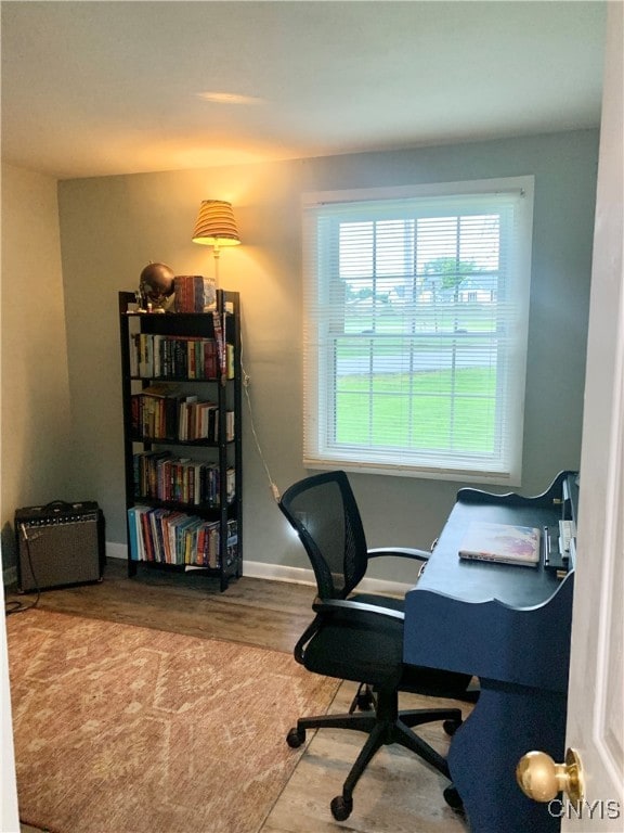 office area featuring wood-type flooring