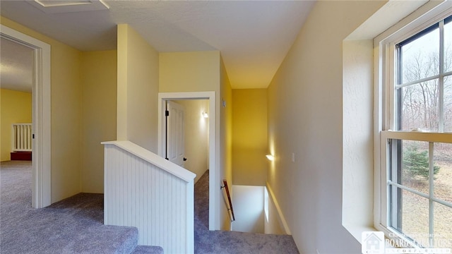 hallway featuring carpet flooring