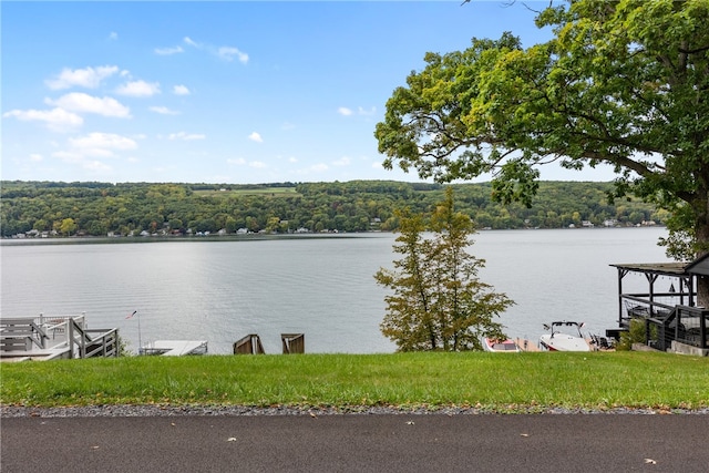 property view of water featuring a dock