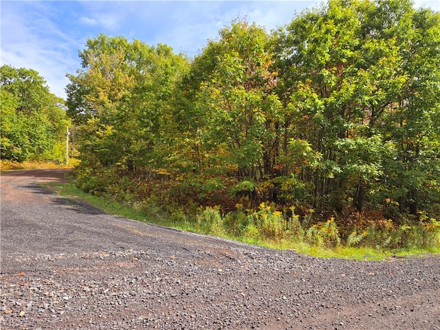 Listing photo 3 for LOT25 Kara Ln, Bovina NY 13740