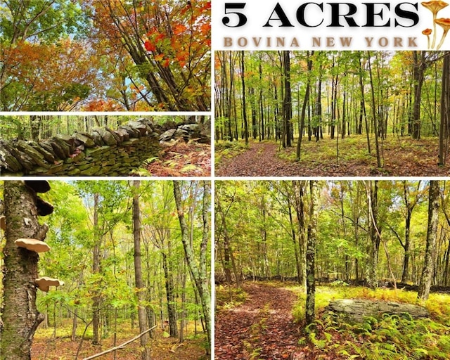 LOT25 Kara Ln, Bovina NY, 13740 land for sale