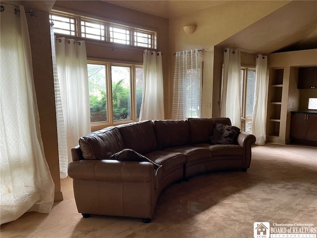 living room featuring light carpet, built in shelves, and a healthy amount of sunlight