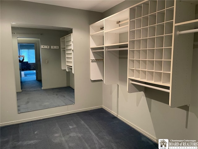 walk in closet with carpet