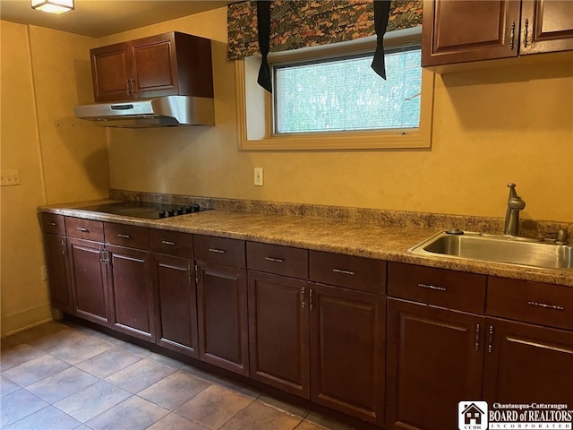 kitchen featuring sink, dark brown cabinetry, and black electric cooktop